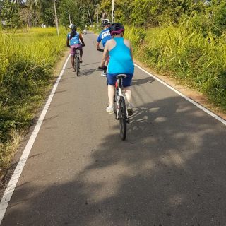 Profile photo for Linda Rodgers