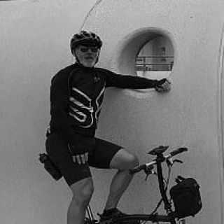 Profile photo for Tony Rigby