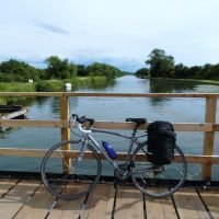 Profile photo for Nic Jones 