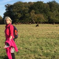 Profile photo for Ann Pickering