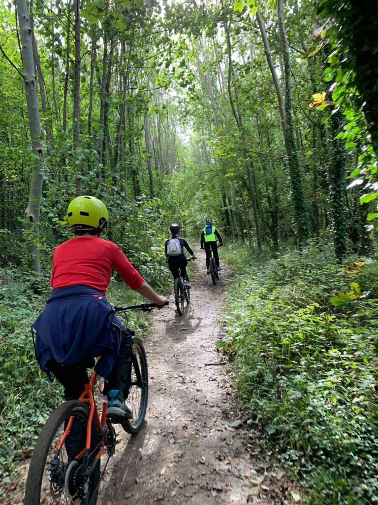 Stanmer park mtb 2025