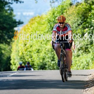 Profile photo for Adrienn Rocco