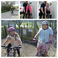 Profile photo for Ann-Marie Scarr