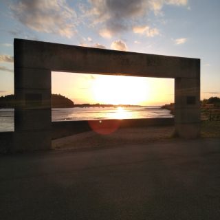 Profile photo for Nia Davies