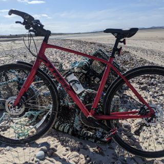 Profile photo for Elaine MacPhail