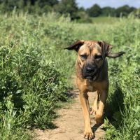 Profile photo for Rocio Fojo