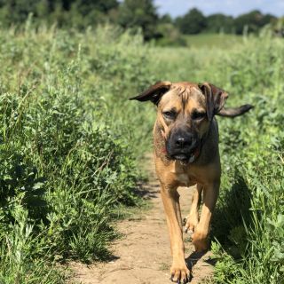 Profile photo for Rocio Fojo