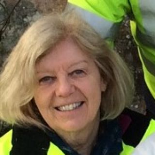 Profile photo for Judi King