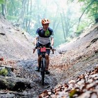 Profile photo for Martin Boag