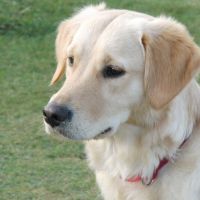 Profile photo for Helen Hassell