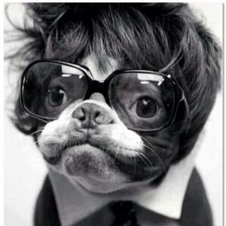 Profile photo for Simon Cooper