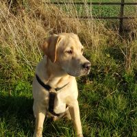 Profile photo for Amanda  Courtley 