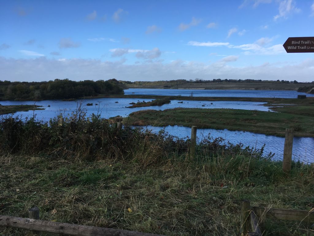 Let's Ride Graceful Greens water, water, everywhere!