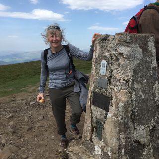 Profile photo for Lynn Wilson