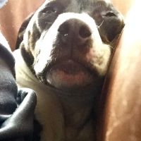 Profile photo for Rob Swindells