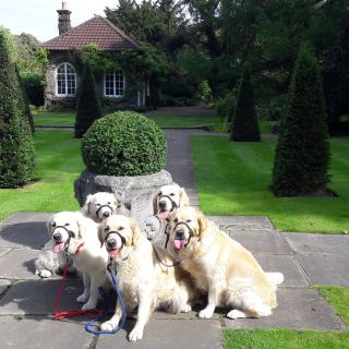 Profile photo for Julia Ewart