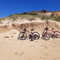 Profile photo for Wendy Cooper