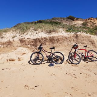 Profile photo for Wendy Cooper