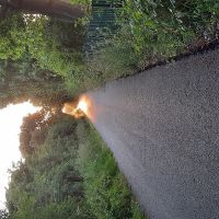 Profile photo for Simon Werrett