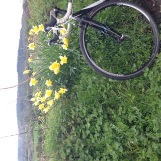 Profile photo for Tamsin Barr