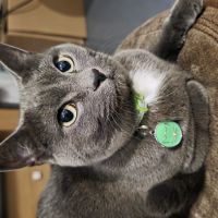 Profile photo for M S