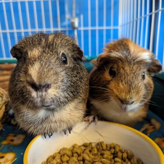 Profile photo for Katie Phillips