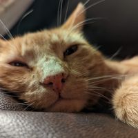 Profile photo for Sian Evans