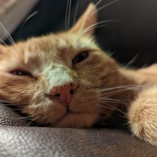 Profile photo for Sian Evans