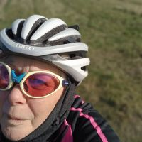 Profile photo for Diane Elizabeth Gollop