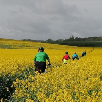 Photo for Duxford Guided Rides