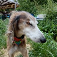 Profile photo for Hazell Burkhill