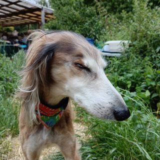 Profile photo for Hazell Burkhill