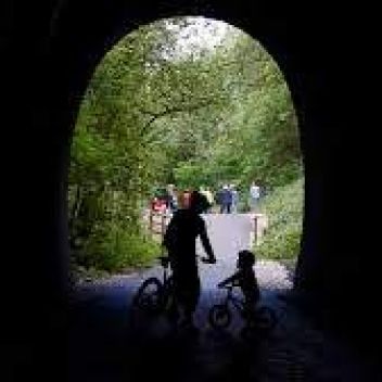 Photo for Pedal Partners Inc.