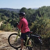 Profile photo for Liz Davidson