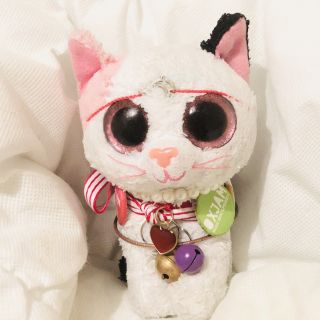 Profile photo for Wayne Johnson