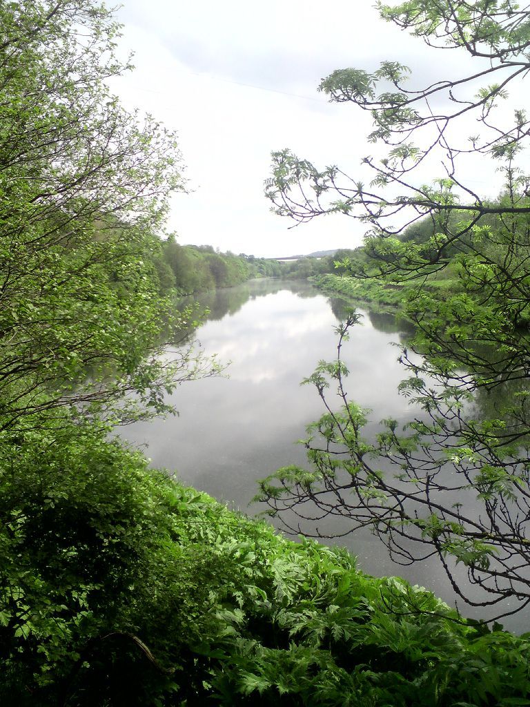 Let's Ride Clyde Walkway Ride