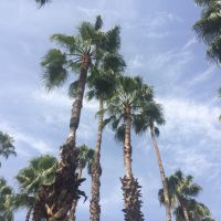 Profile photo for J P