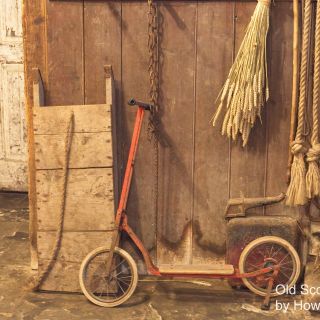 Profile photo for Howard Seward