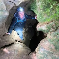 Profile photo for Sarah Carr