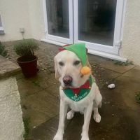 Profile photo for Jane Beech