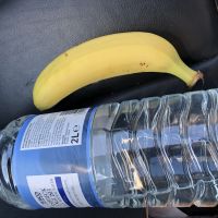 Profile photo for Ann Taylor