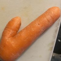 Profile photo for Terry Heath 