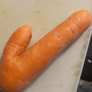 Profile photo for Terry Heath 