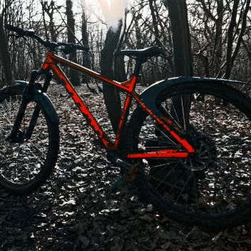 Photo for Ruislip Woods XC MTB