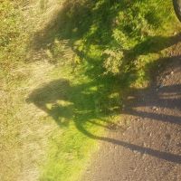 Profile photo for Phil Broxton