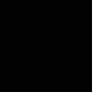 Profile photo for Trevor Manser