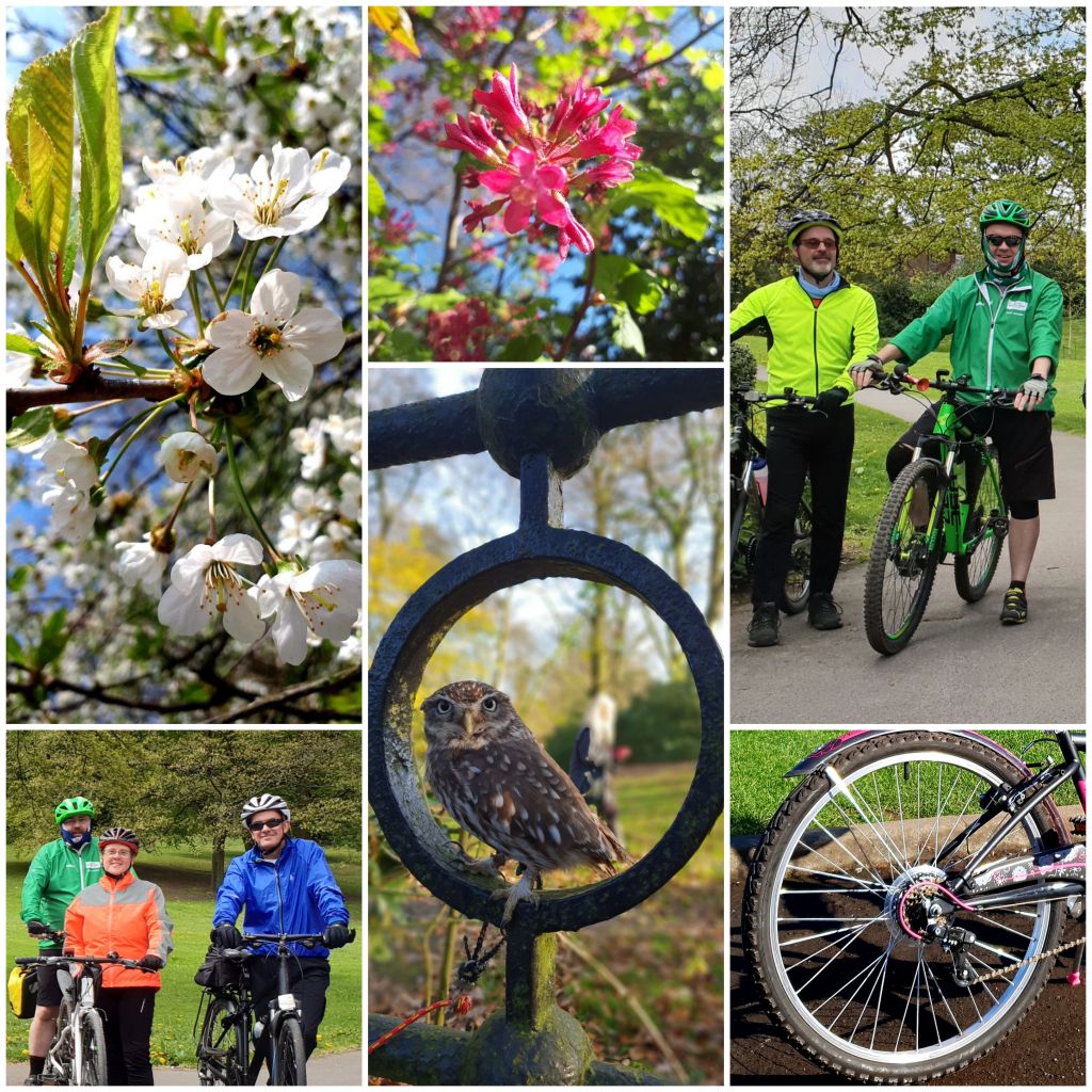 Let's Ride Discover the Beauty of Heaton Park & Find Your Wild Side