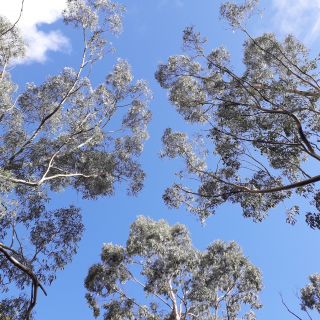 Profile photo for Joanne Stockton