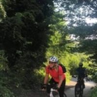 Profile photo for Alison Langham