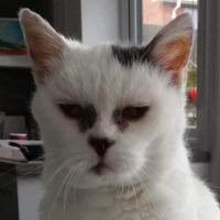 Profile photo for Sue Booth